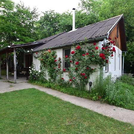Igricz Farmhaz Villa Pocsmegyer Exterior photo
