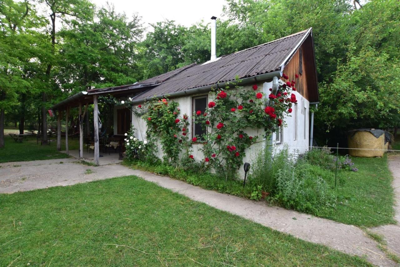 Igricz Farmhaz Villa Pocsmegyer Exterior photo